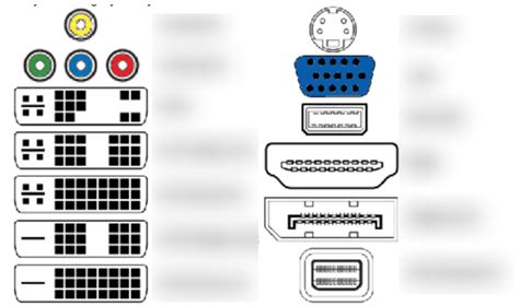 www videoporn|Definition of video port .